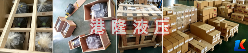 港隆液压